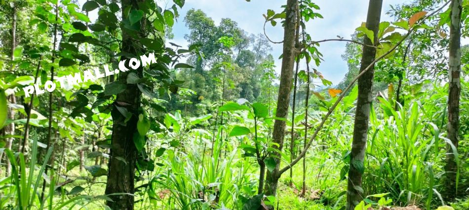 Residential Land For Sale