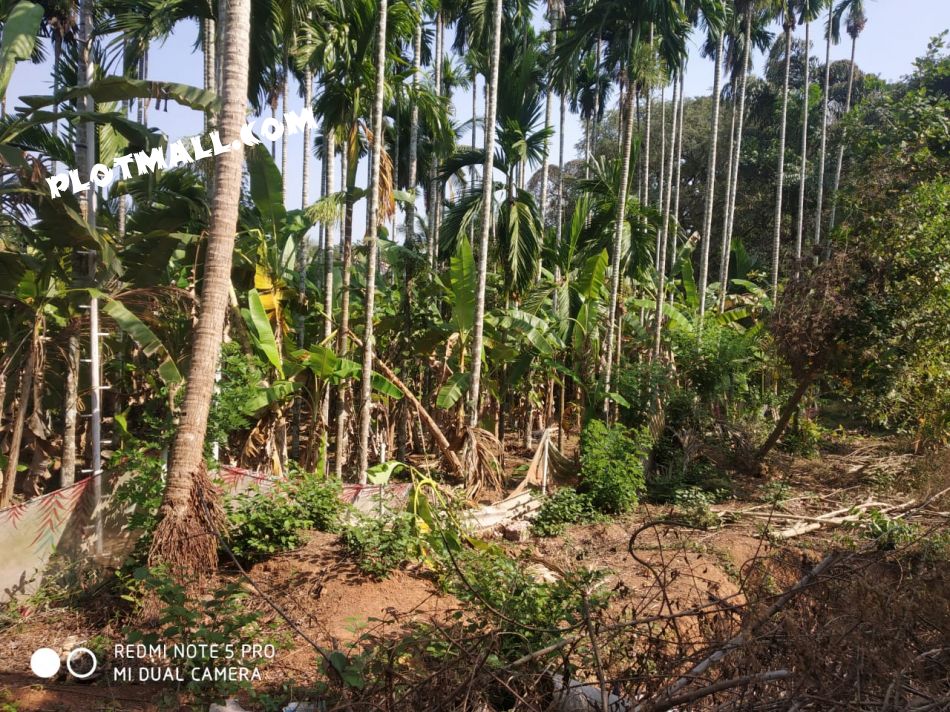 Residential Land For Sale