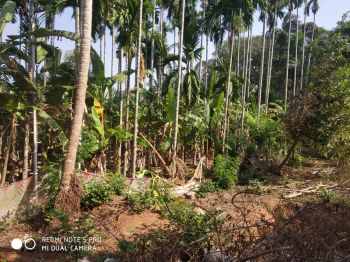 10 Cent Residential Land for Sale at Vellarikkundu Budget - 1300000 Total