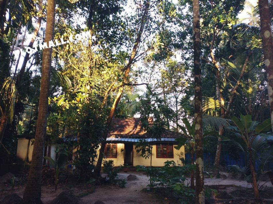 43 cent Cent Residential Land for Sale at Panangad Budget - 600000 Cent