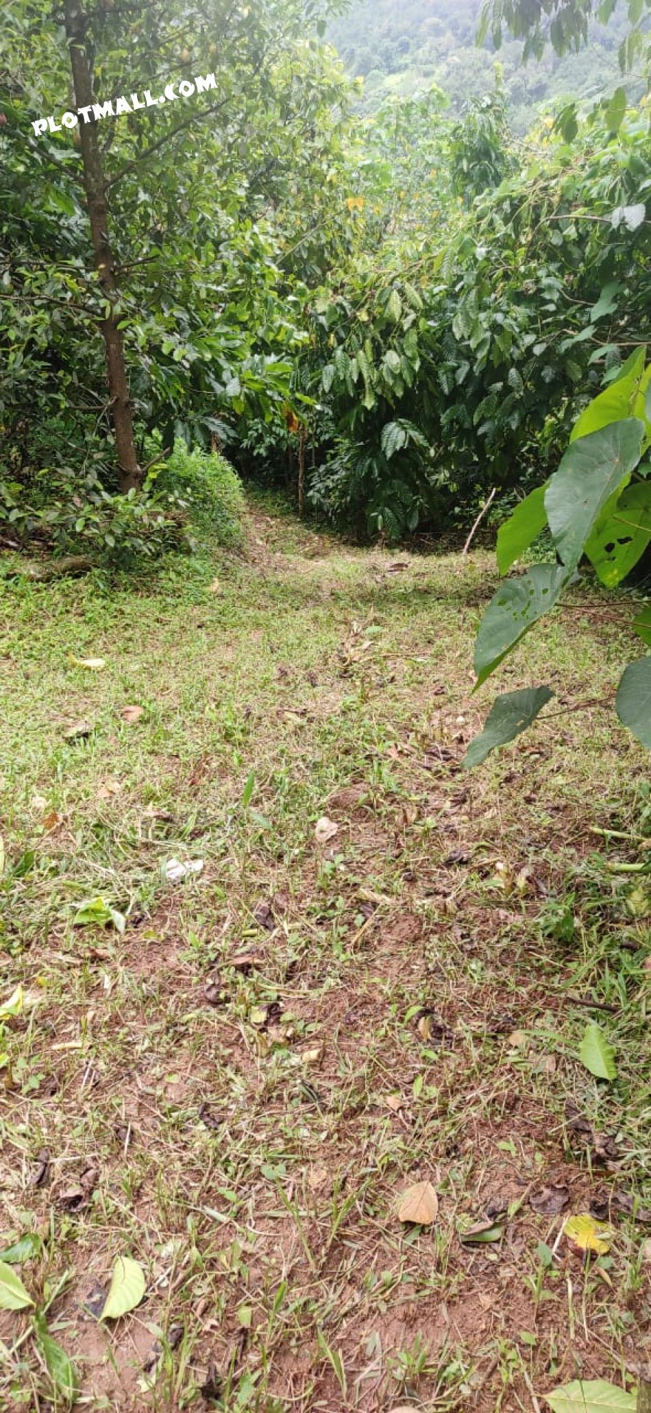 Residential Land For Sale