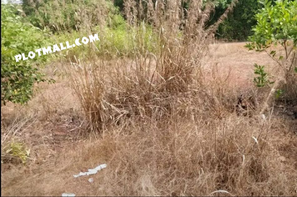 Residential Land For Sale