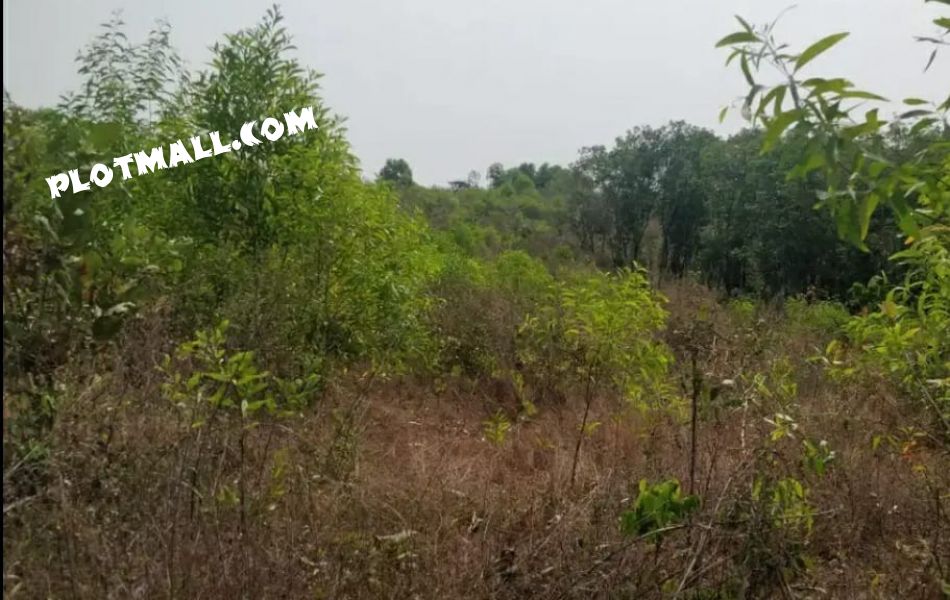 Residential Land For Sale