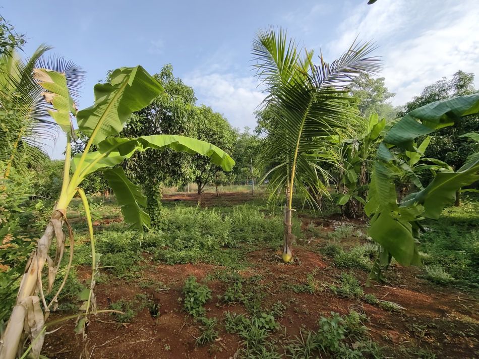 Residential Land For Sale