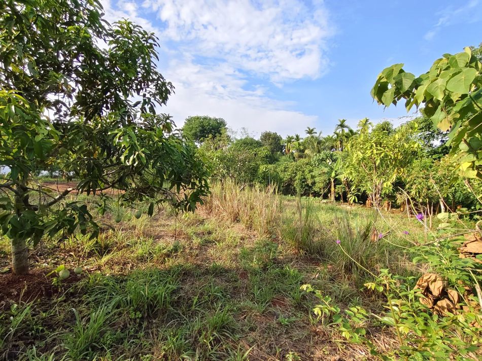Residential Land For Sale