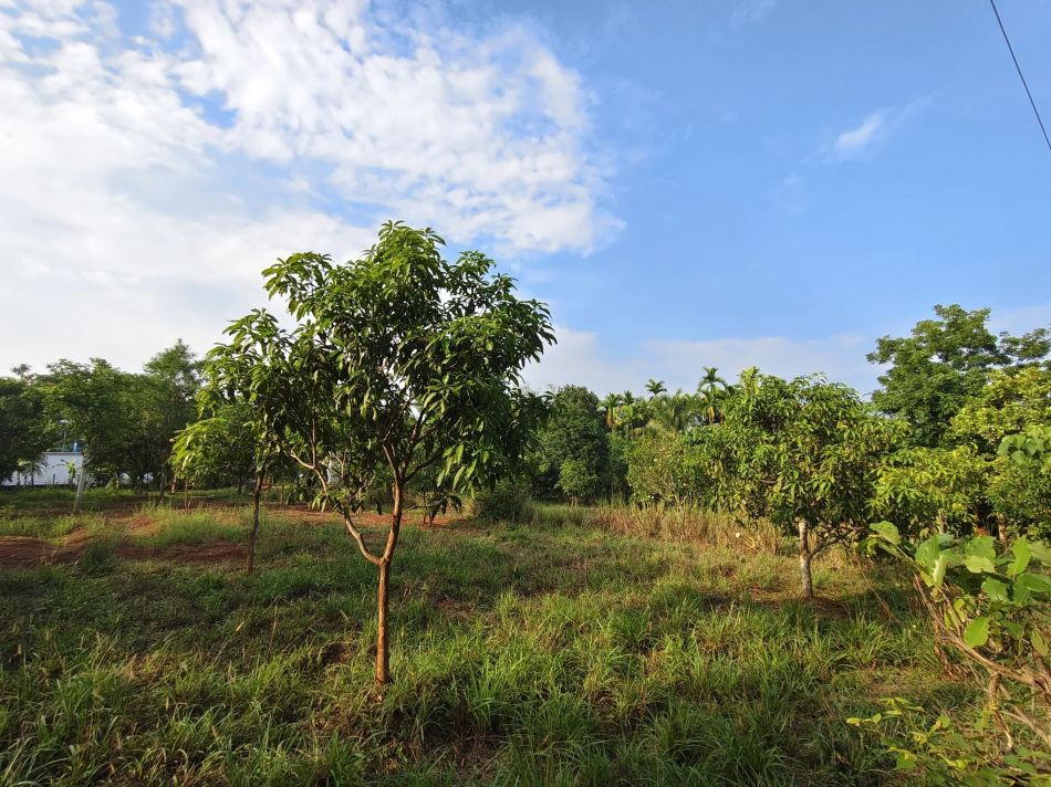 Residential Land For Sale