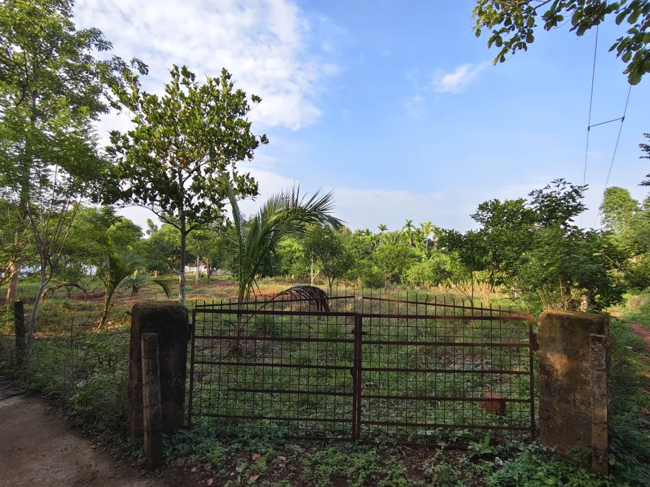 Residential Land For Sale