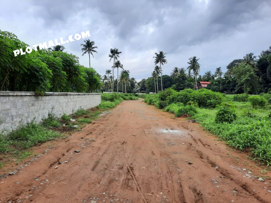 Residential Land For Sale