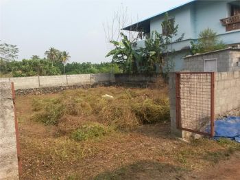 6 Cent Residential Land for Sale at Karumalloor Budget - 1800000 Total