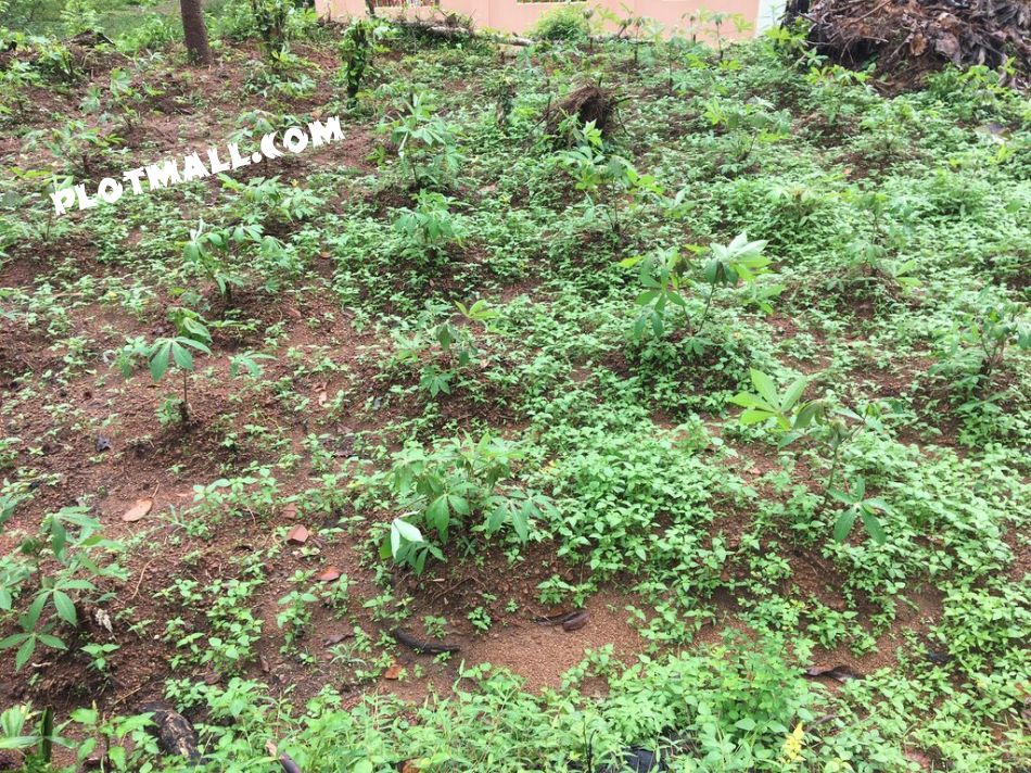 Residential Land For Sale