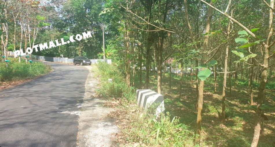 The Road Next To The Property