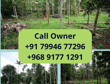 20 Cent Residential Land for Sale at Piravom Budget - 700000 Cent