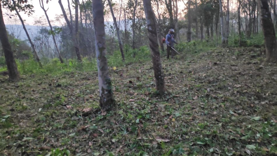 Residential Land For Sale