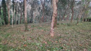 15 Cent Residential Land for Sale at Manathoor Budget - 120000 Cent