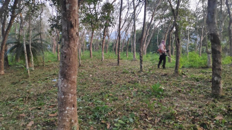 Residential Land For Sale