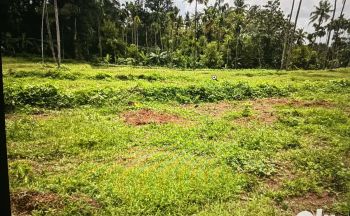 54 Cent Residential Land for Sale at Poopathy Junction Budget - 160000 Cent