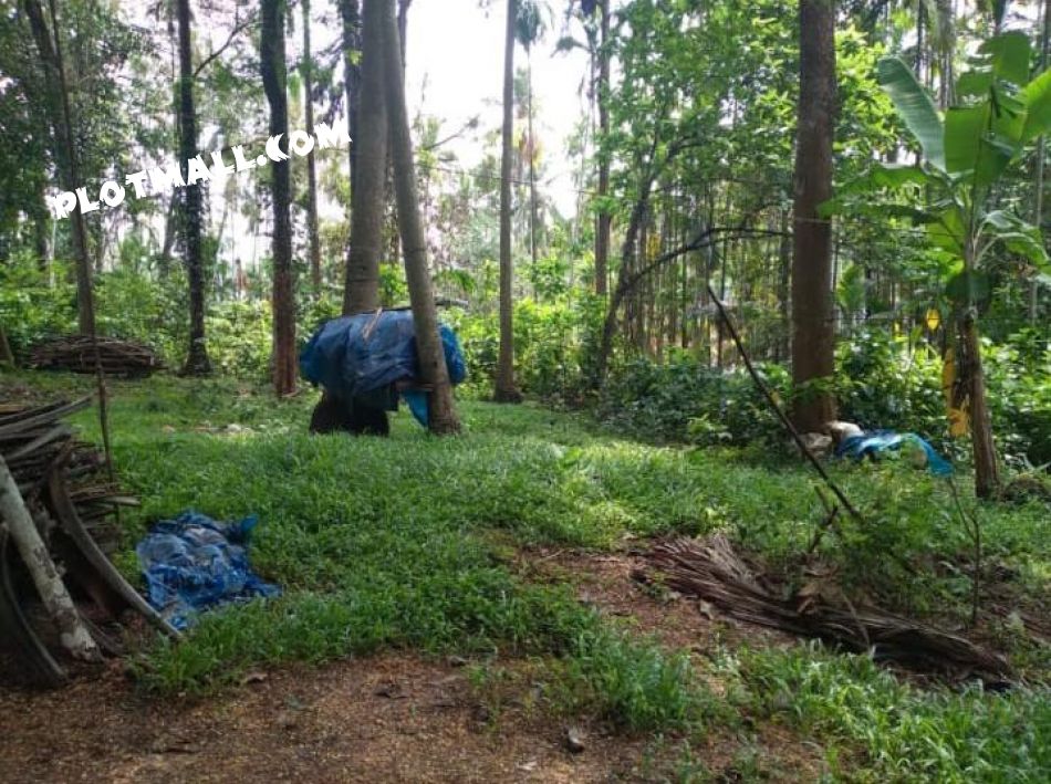 Residential Land For Sale