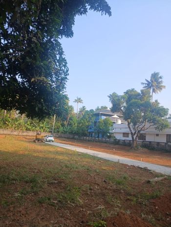 5 Cent Residential Land for Sale at Thrissur Budget - 1300000 Cent