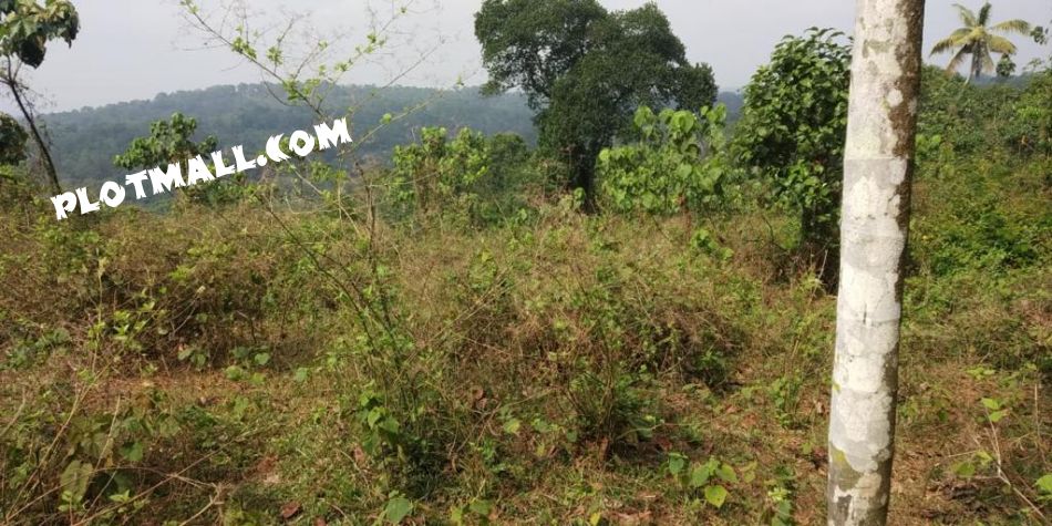 Residential Land For Sale