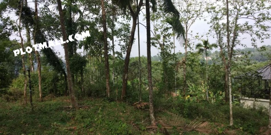 Residential Land For Sale