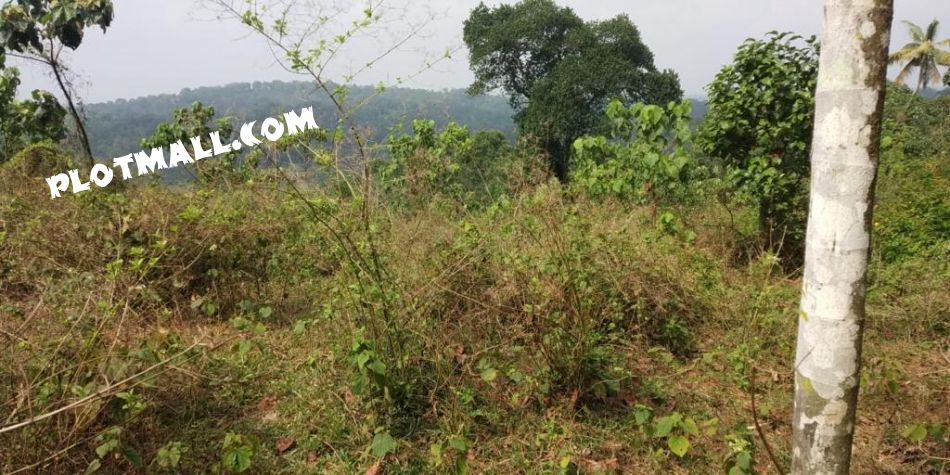 Residential Land For Sale