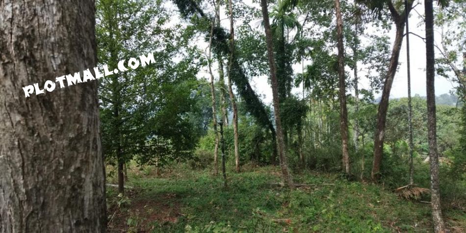 Residential Land For Sale