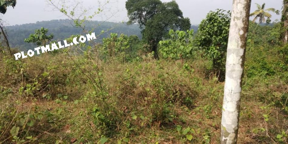 Residential Land For Sale