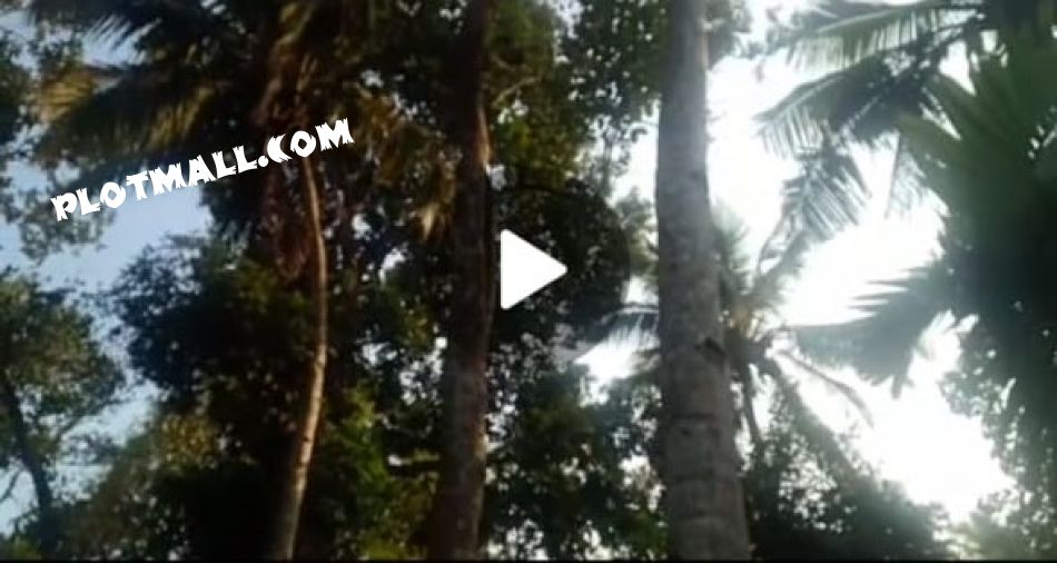 Residential Land For Sale