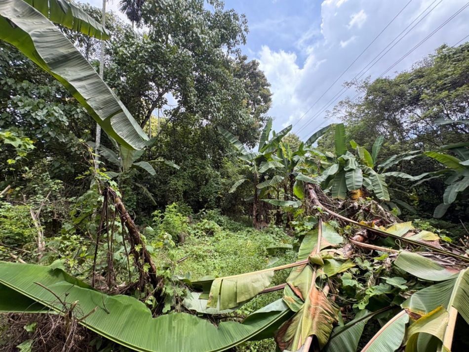Residential Land For Sale