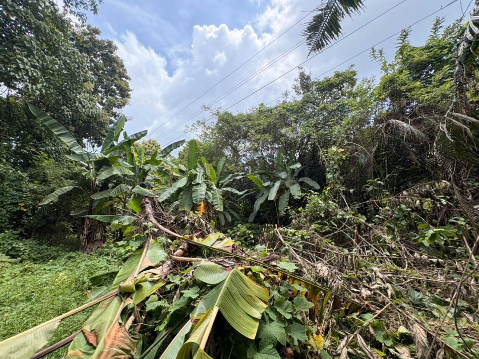Residential Land For Sale