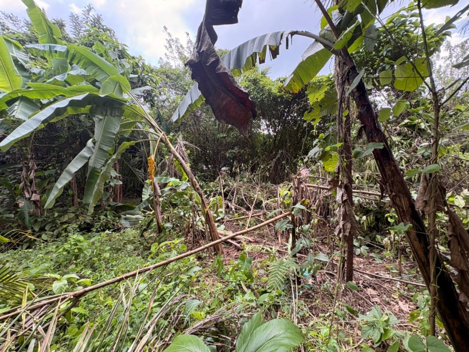 Residential Land For Sale