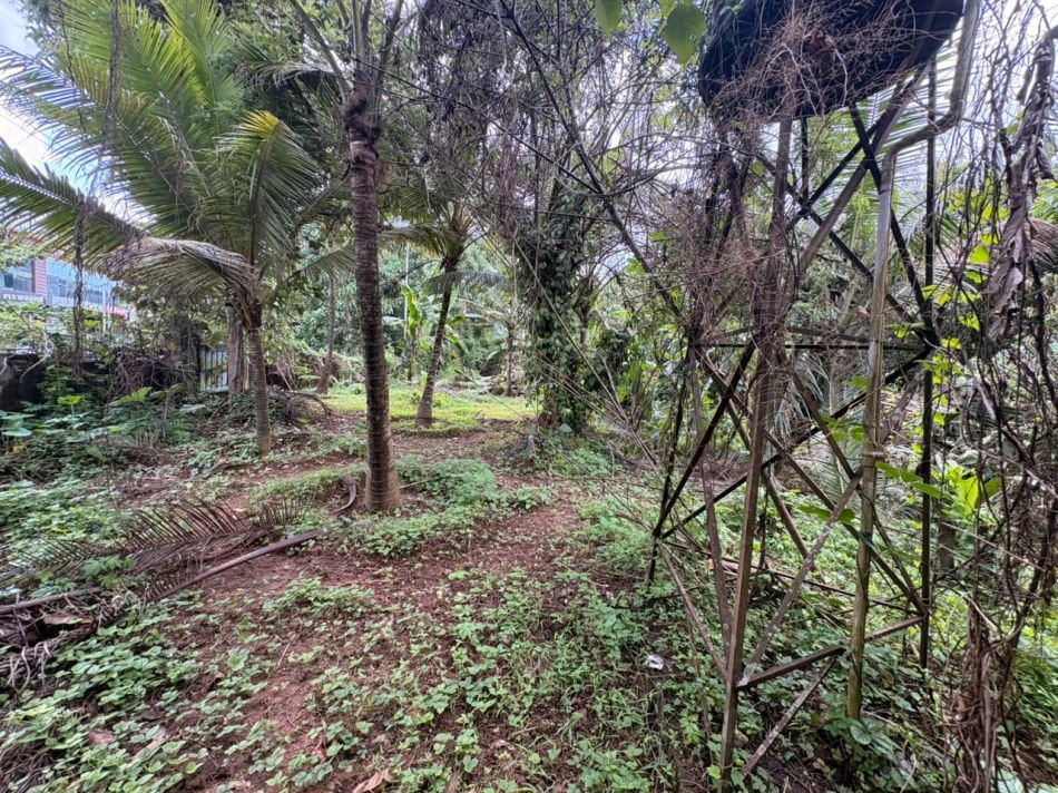 Residential Land For Sale