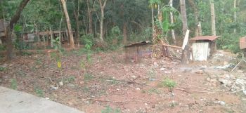 12 Cent Residential Land for Sale at Puthoor Budget - 65000 Cent