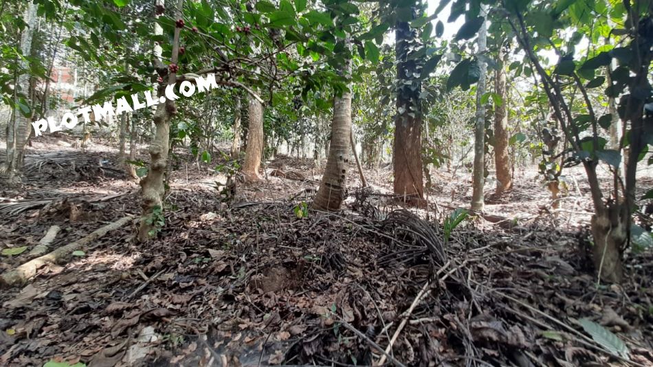 Residential Land For Sale