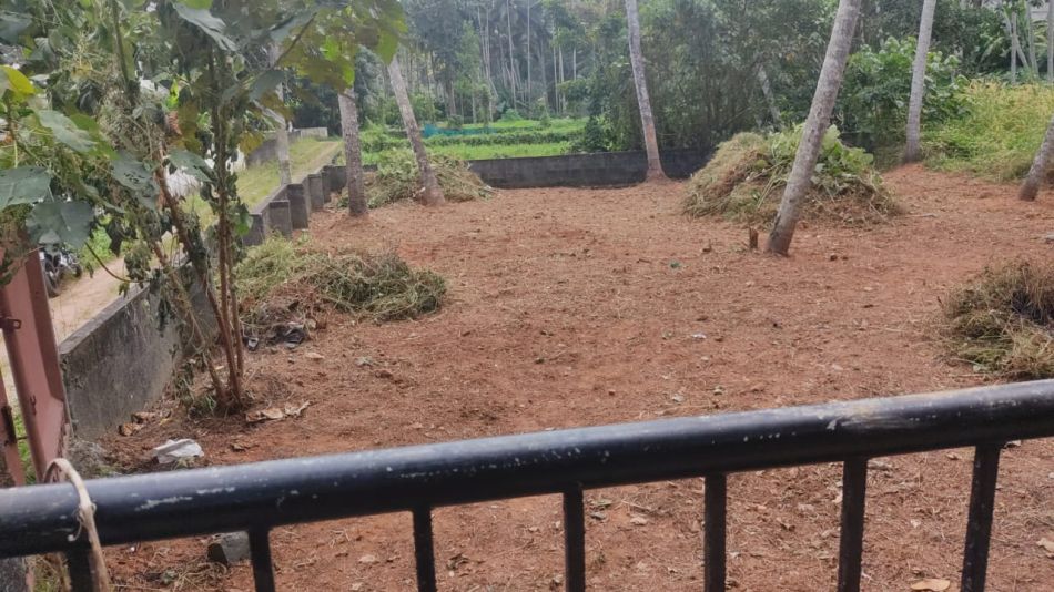 10.75 Cent Residential Land for Sale at Ulliyeri Budget - 950000 Cent