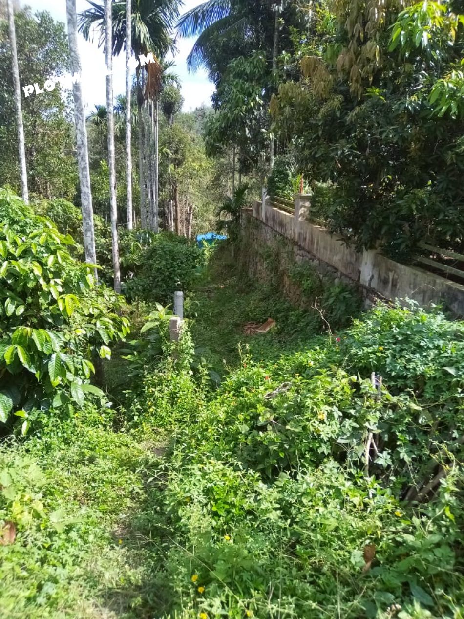 Residential Land For Sale