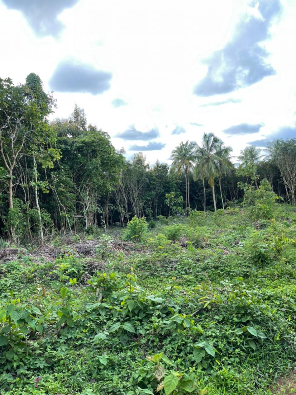 Residential Land For Sale