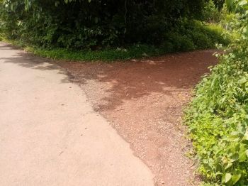 43.5 Cent Residential Land for Sale at Taliparamba Budget - 75000 Cent