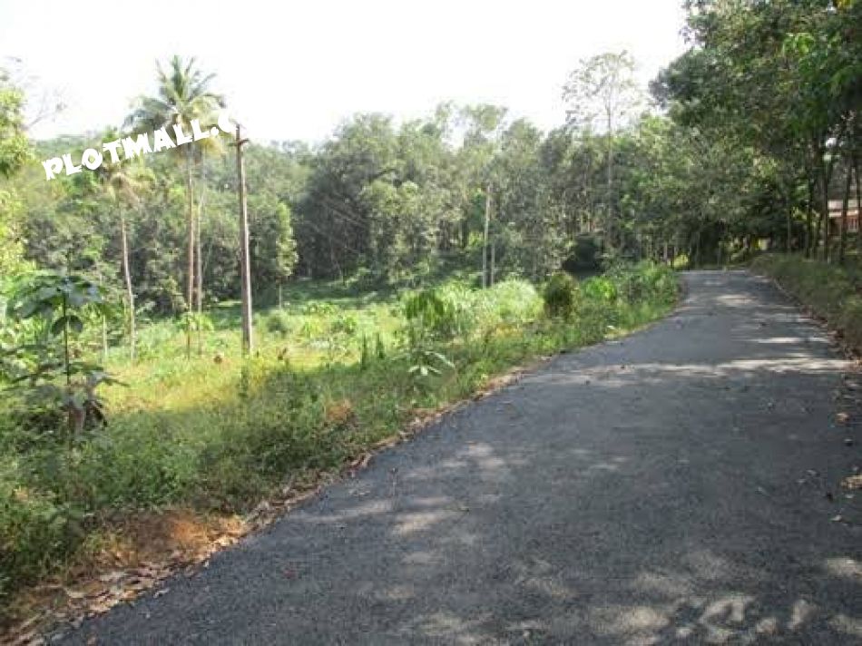 Residential Land For Sale