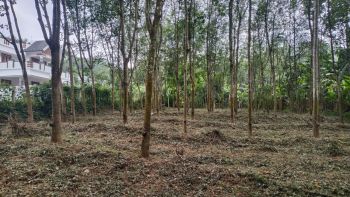 30 Cent Residential Land for Sale at  Budget - 160000 Cent