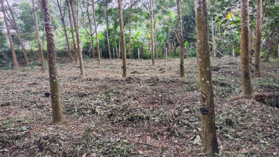 Residential Land For Sale