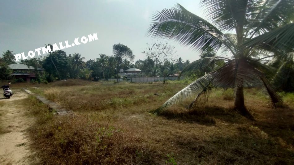 Residential Land For Sale