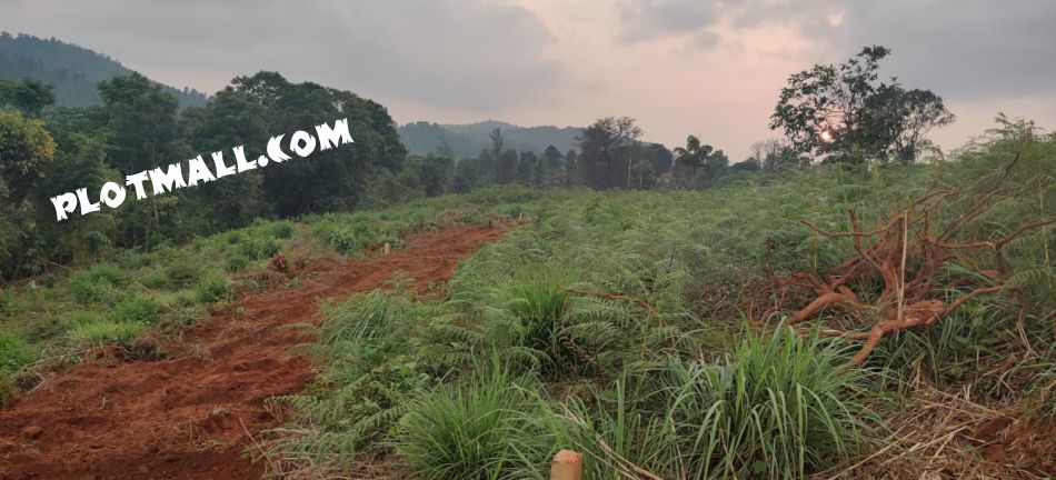 Residential Land For Sale