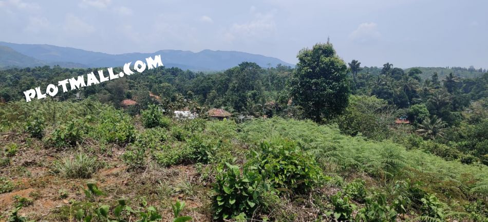 Residential Land For Sale