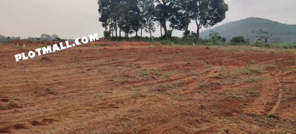 Residential Land For Sale