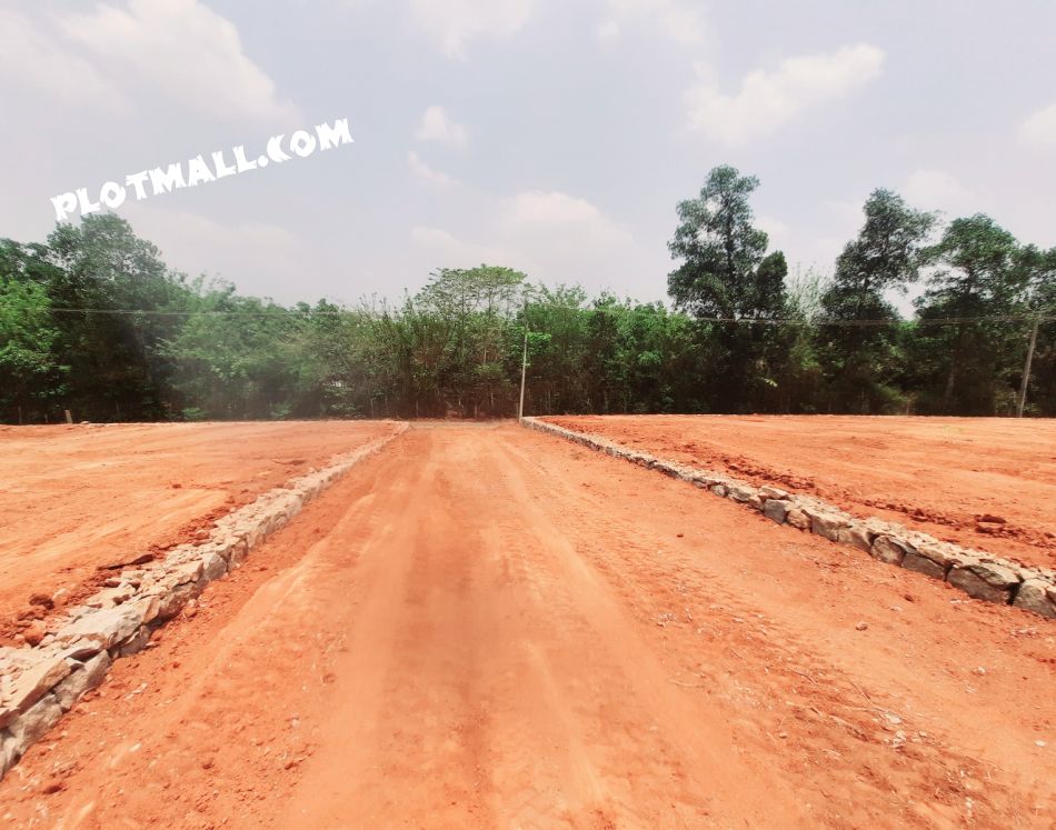 10 Cent Residential Land for Sale at Thiruvilwamala Budget - 90000 Cent