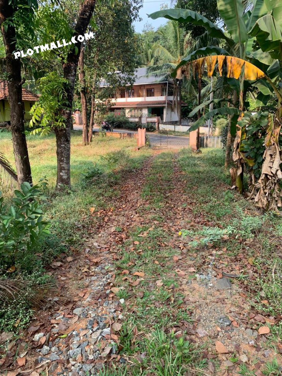 Residential Land For Sale