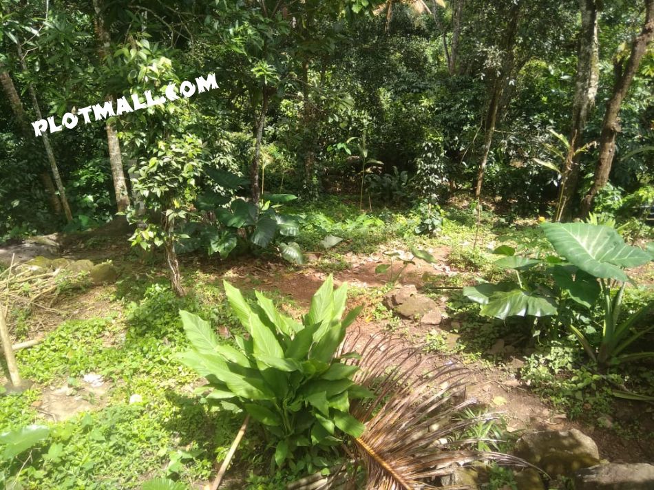 Residential Land For Sale