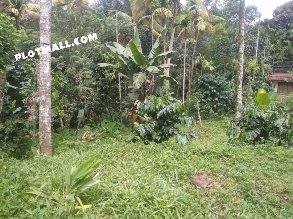 Residential Land For Sale