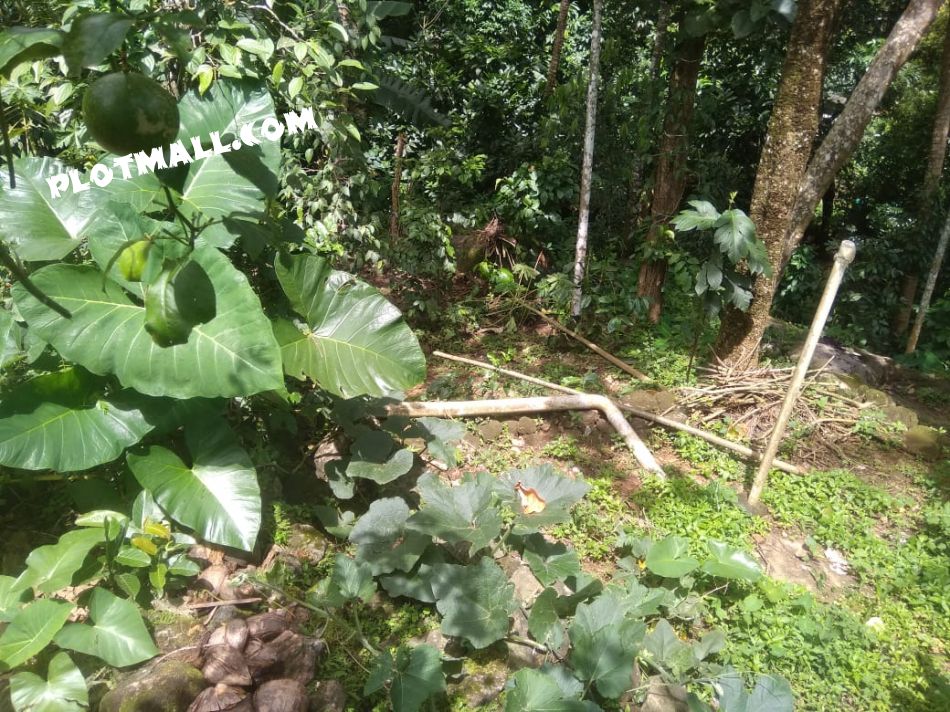 Residential Land For Sale